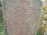 image of grave number 552210